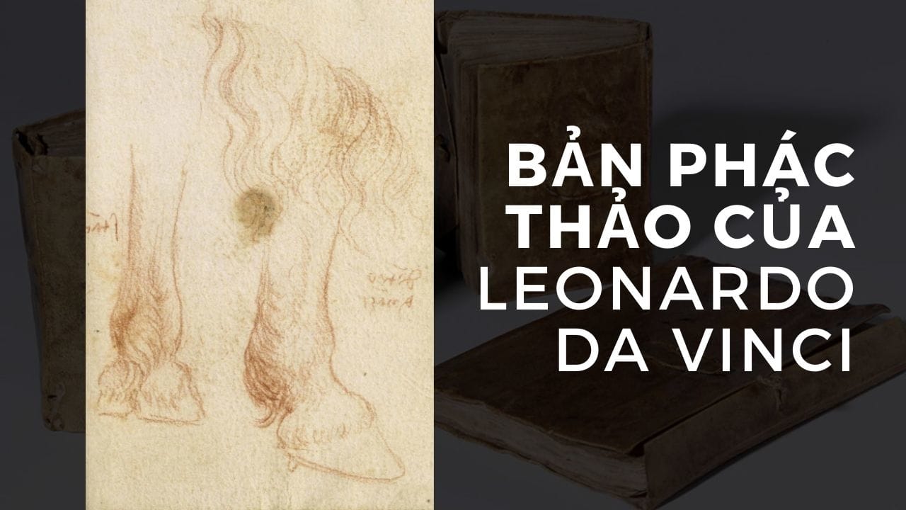 Bản phác thảo của Leonardo da vincl